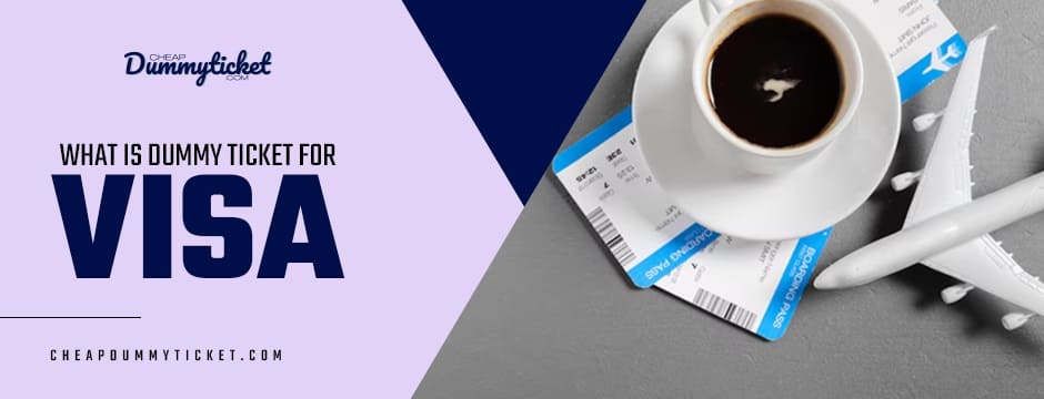reasons dummy ticket for visa